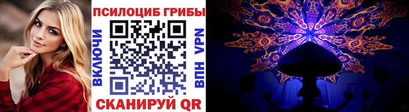 купить закладку  Власиха  Галлюциногенные грибы мицелий 